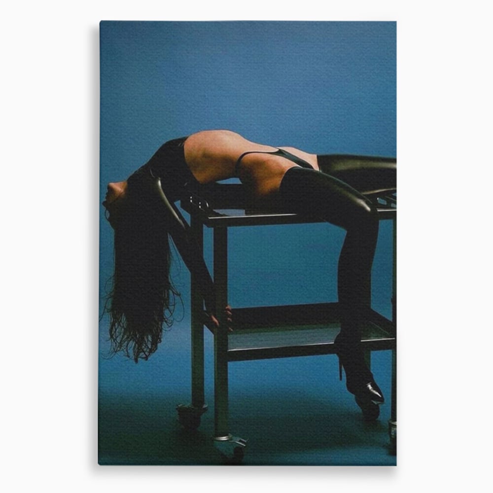 Tablou canvas cu tablou canvas cu silueta curbata pe masa, fara rama, pe sasiu de lemn
